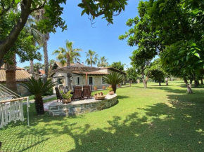 Ktima Zotos luxury exotic cottage 1